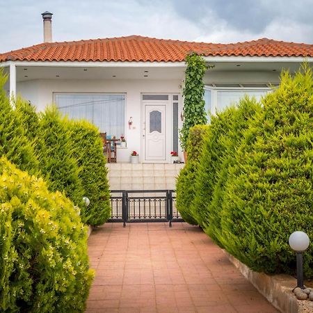 Vineyard Country House With Panoramic Seaview アレクサンドルポリス エクステリア 写真