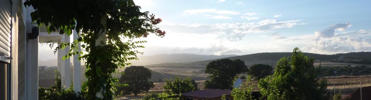 Vineyard Country House With Panoramic Seaview アレクサンドルポリス エクステリア 写真