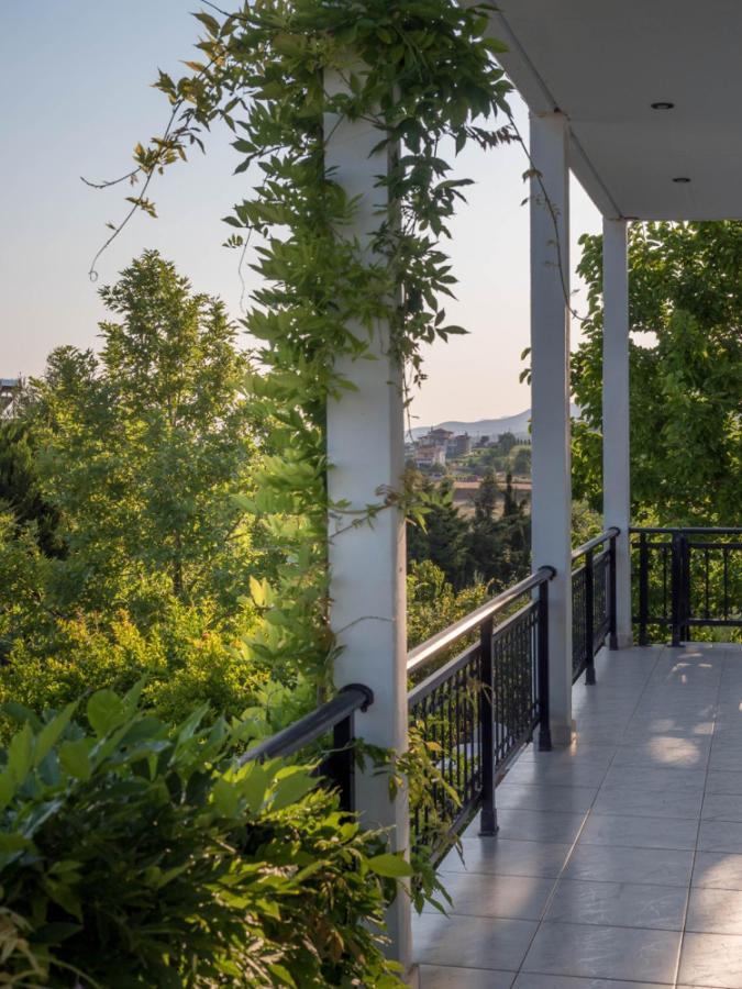 Vineyard Country House With Panoramic Seaview アレクサンドルポリス エクステリア 写真