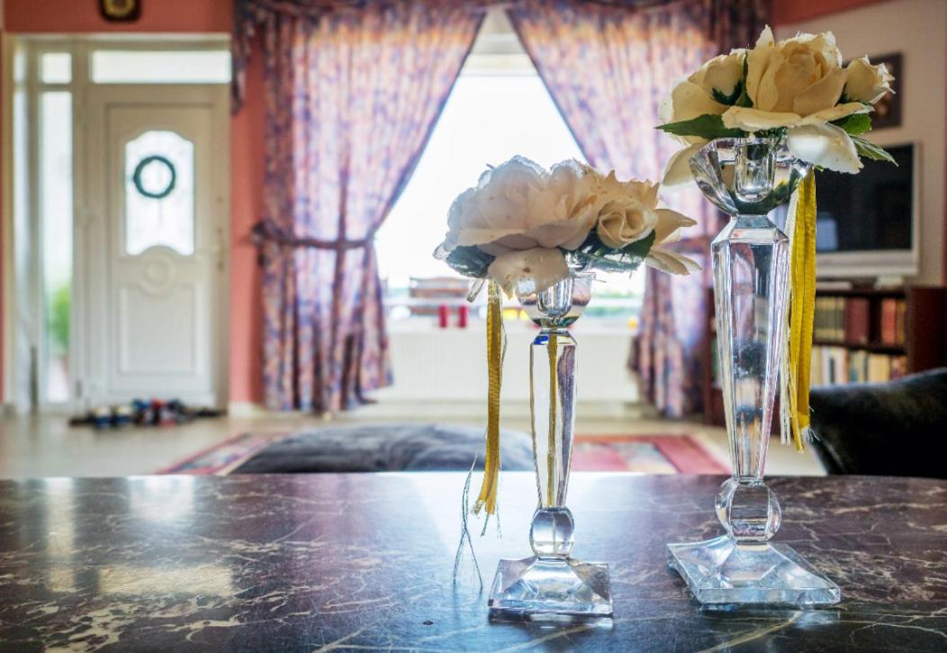 Vineyard Country House With Panoramic Seaview アレクサンドルポリス エクステリア 写真