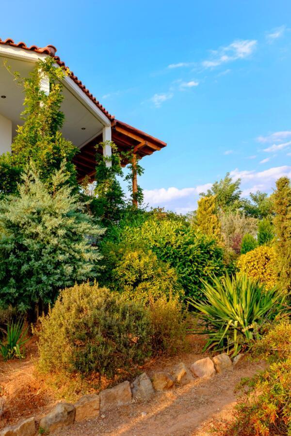 Vineyard Country House With Panoramic Seaview アレクサンドルポリス エクステリア 写真