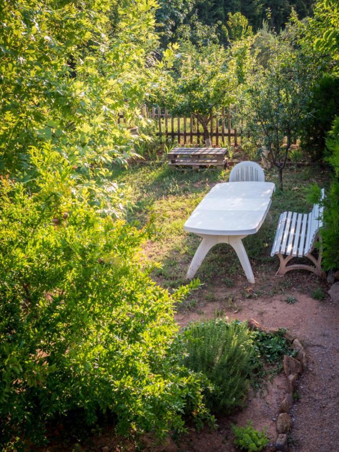 Vineyard Country House With Panoramic Seaview アレクサンドルポリス エクステリア 写真