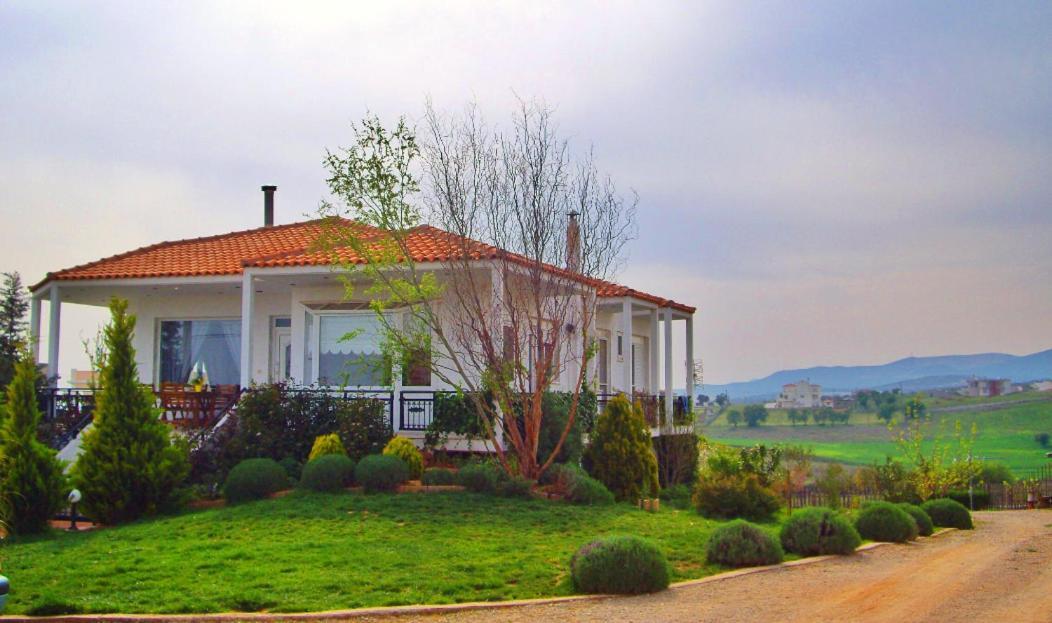 Vineyard Country House With Panoramic Seaview アレクサンドルポリス エクステリア 写真