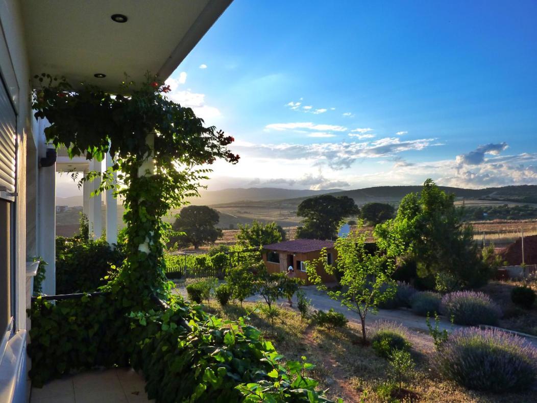 Vineyard Country House With Panoramic Seaview アレクサンドルポリス エクステリア 写真